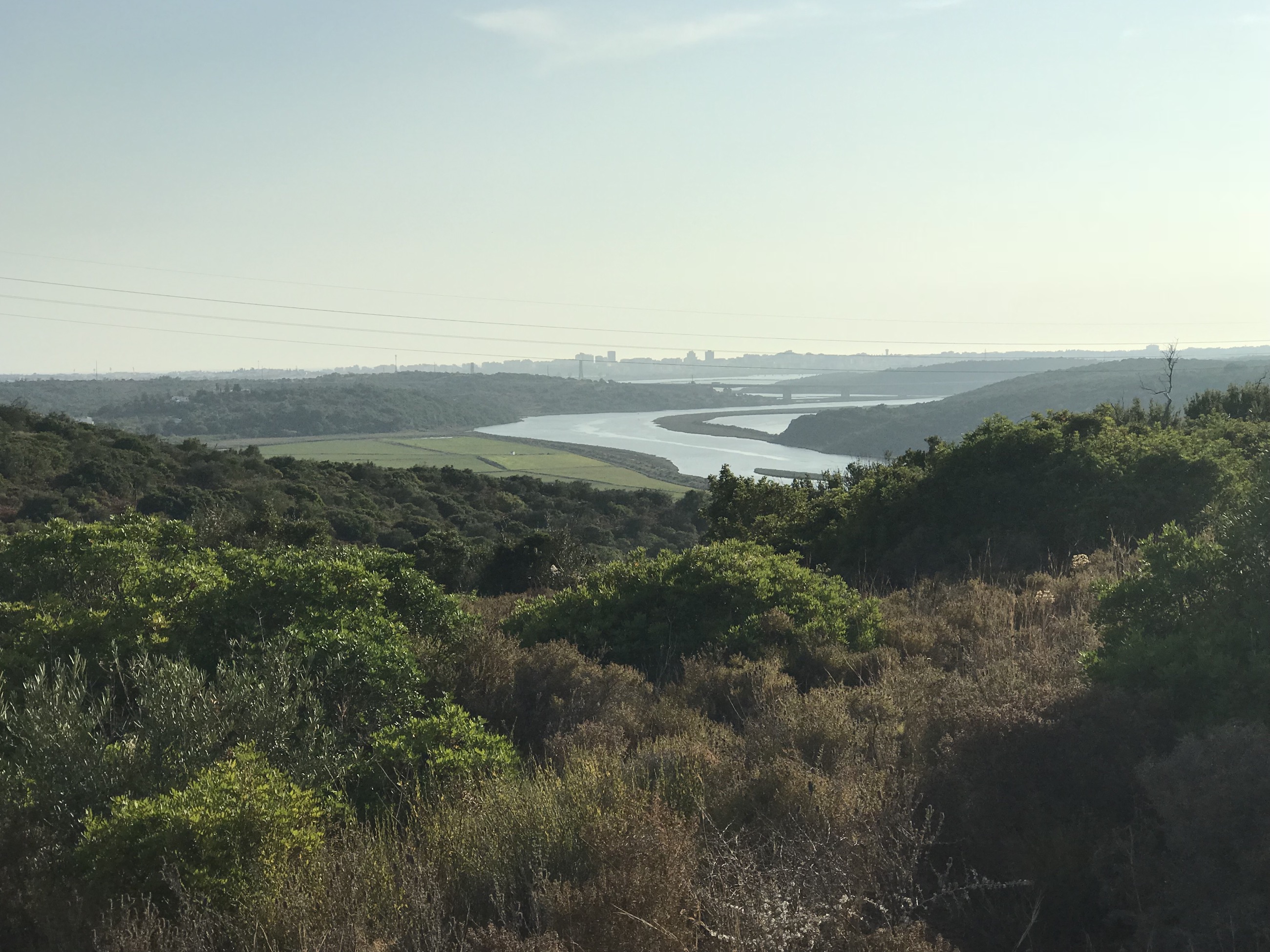 Green valley at Lago da Atalaia — Algarve interior landscape
